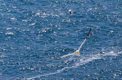 6Z2A0468-Enhanced-NR