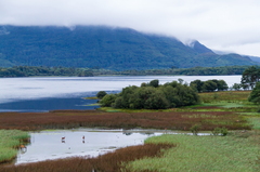 The Lake Hotel