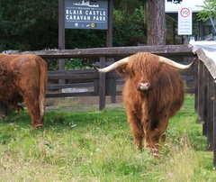 Our first Scotland Holiday